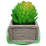 Pickup Truck Succulent, 3 Inch