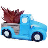 Pickup Truck Succulent, 3 Inch