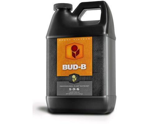 HEAVY 16 Bud-B (1-3-6) Quart