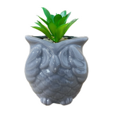 Owl Succulent Decor