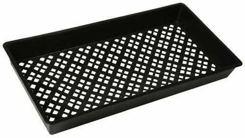 Super Sprouter® Singled Out Premium Mesh Bottom Tray 10X20