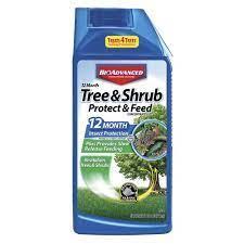 Bioadvanced Tree & Shrub Protect & Feed 32oz